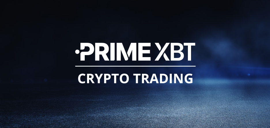 Exploring the World of PrimeXBT Forex Trading